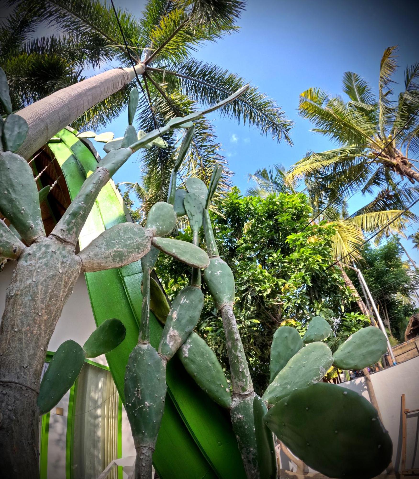 Kaktus Bungalow 2 กิลิไอร์ ภายนอก รูปภาพ